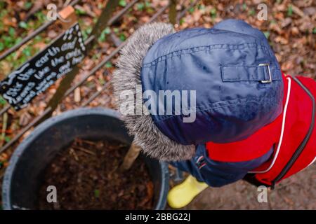 Kaukasischer Junge auf der Suche nach Insekten in einem Wald, Oxfordshire, Großbritannien Stockfoto