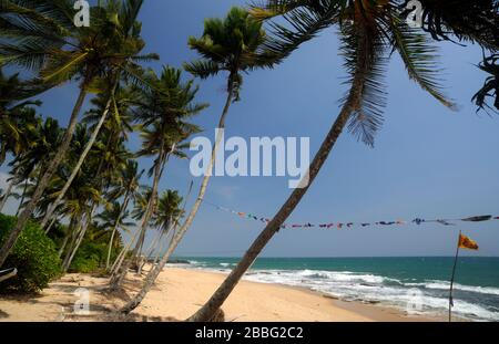 Sri Lanka, Tangalle-Strand Stockfoto