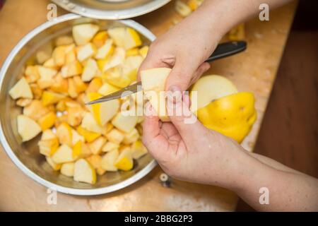 Quince Fruit mit Händen auf hellem Hintergrund mit Platz für eine Beschriftung geschält. Frau schält Quitte . Stockfoto