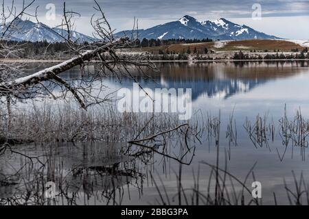 Landschaft einer Spiegelreflexion im See, ein Trockenrasen, ein Rohrstock und schnäppt im Vordergrund, Berge und Wald im Hintergrund, Eis auf Stockfoto