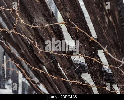 Gebrannter Zaun mit Stacheldraht. Die Folgen eines nicht sorgfältigen und gedankenlosen Brandumgangs. Stockfoto