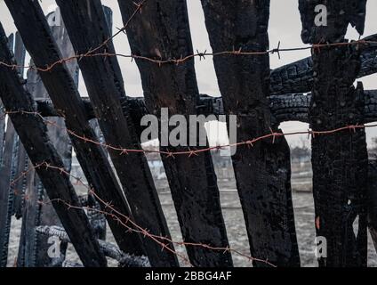 Gebrannter Zaun mit Stacheldraht. Die Folgen eines nicht sorgfältigen und gedankenlosen Brandumgangs. Stockfoto