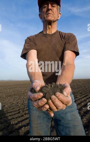 Ein Mann hält Boden in einem von Trockenheit betroffenen Feld, Tiger Hills, Manitoba, Kanada Stockfoto