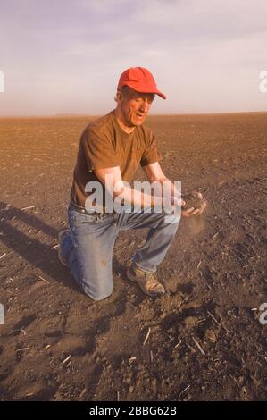 Ein Mann hält den obersten Boden in einem von Trockenheit betroffenen Feld, Tiger Hills, Manitoba, Kanada Stockfoto