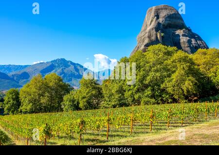 Griechenland. Sonniger Tag inmitten der Felsen von Kalambaka. Weinberg, der zum Felsklosterei Meteora gehört Stockfoto