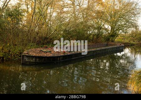 Verlassene Kahn auf dem Basingstoke-Kanal im Herbst Stockfoto