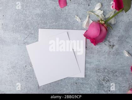 Ausgefallene Grußkarte zum Ausdruck mit roten Rosenblättern von oben als Hintergrund Stockfoto