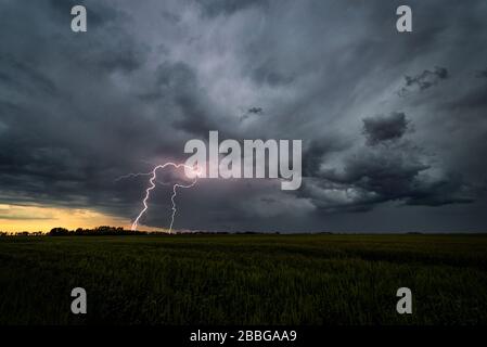 Sturm mit Blitzschlag über dem Feld im ländlichen Süden Manitobas Kanadas Stockfoto