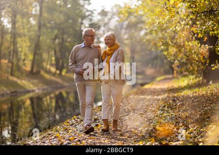 Glückliches Senioren-Paar im Herbstpark Stockfoto