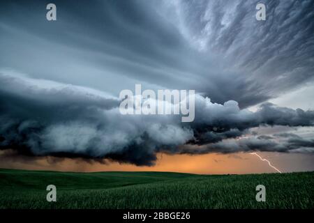 Tornado warnte den Sturm mit Blitzschlag über dem Feld im ländlichen Süden Saskatchewans Kanadas Stockfoto