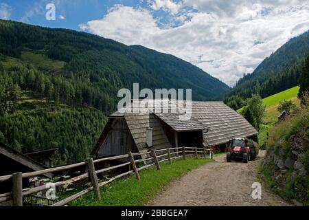 Historisches, österliches Bauernhaus am Steilhang im Bergtal, Österreich Stockfoto