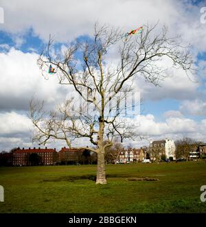 Zwei Kites in Baumzweigen gefangen Stockfoto