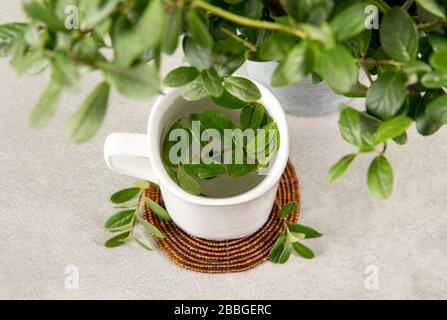 Lingonbeere (Vaccinium vitis-idaea), Partridgebeere, Preiselbeere oder Cowberry-Blätter, die verwendet werden, um Teegetränke aus pflanzlichen Medikamenten zu machen. Draufsicht von Medicin Stockfoto