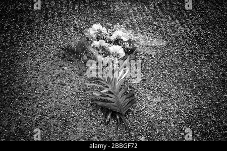 Blumen auf dem Friedhof am Tag der Toten, des Christentums und des Glaubens Stockfoto