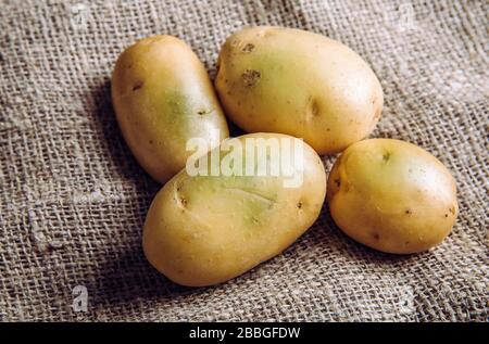 Sonnenlicht und Wärme verwandeln Kartoffeln Haut grün Witch enthält hohe Mengen eines Toxins, Solanin, das Krankheit verursachen kann und giftig ist. Kaufen Sie nicht und Stockfoto