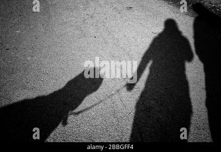 Schattenpaar und Hund im Park, Tiere und in der Natur Stockfoto