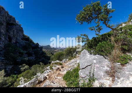 Mediterrane Landschaft in der Sierra de Grazalema, Andalusien, Spanien. Stockfoto