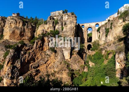 Der berühmte Puente Nuevo über die Schlucht El Tajo in Ronda, einer der berühmten weißen Städte Andalusiens, Spanien. Stockfoto