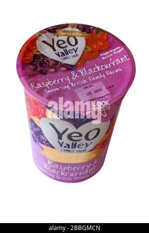 Wanne mit Yeo Valley Family Farm Himbeere & Blackcurrant Proper Bio Live Yeogurt Joghurt - Unterstützung britischer Familienfarmen isoliert auf Weiß Stockfoto