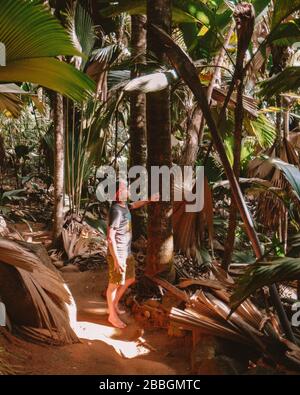 Vallee de Mai Naturreservat Coco de mer ist ein Naturpark und UNESCO-Weltkulturerbe auf der Insel Praslin auf den Seychellen Stockfoto