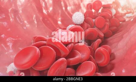 Rote Blutkörperchen in einer Arterie, Vene. Blutfluss in einem lebenden Organismus. Wissenschaftliches und medizinisches Konzept. Übertragung wichtiger Elemente im Stockfoto