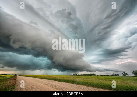 Sturm mit Blitz über ein Rapsfeld und eine Schotterstraße im südlichen Saskatchewan Kanada Stockfoto