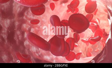 3D-Abbildung der roten Blutkörperchen in einer Arterie, Vene. Der Blutfluss in einem lebenden Organismus. Wissenschaftliches und medizinisches mikrobiologisches Konzept Stockfoto