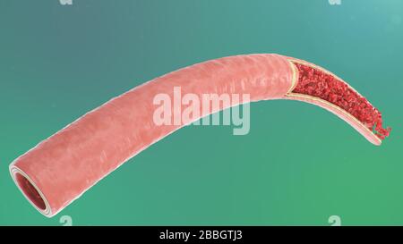 3D-Abbildung der roten Blutkörperchen in einer Arterie, Vene. Gesunder arterieller Blutfluss im Querschnitt. Wissenschaftliches und medizinisches mikrobiologisches Konzept Stockfoto
