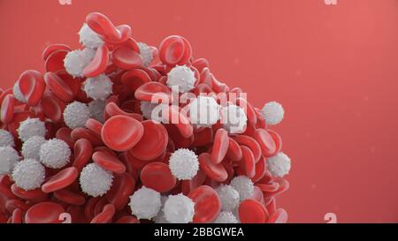 Rote Blutzellen mit weißen Blutzellen, die immun sind. Wissenschaftliches und medizinisches mikrobiologisches Konzept. Anreicherung mit Sauerstoff und Nährstoffen. Übertragen Stockfoto