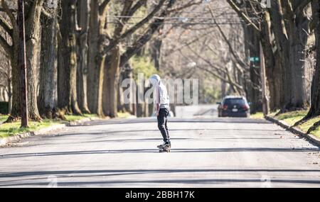 Berks County, Pennsylvania, USA-22. März 2020: Einsame Skateboarder auf einer leeren, von Bäumen gesäumten Vorstadt-Straße. Stockfoto