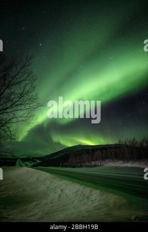 Aurora tanzt in Norwegen unter dem Winterhimmel über die Straße Stockfoto