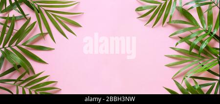 Palme hinterlässt einen rosafarbenen Hintergrund Stockfoto