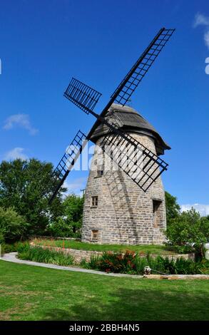 Windmühle, Stembridge Tower Mill die letzte reetgedeckte Windmühle in England und war bis 1910 in Gebrauch. High Ham, Somerset, Großbritannien Stockfoto