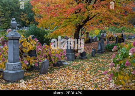 Mount Royal Cemetery, Montreal, Quebec, Kanada, Stockfoto