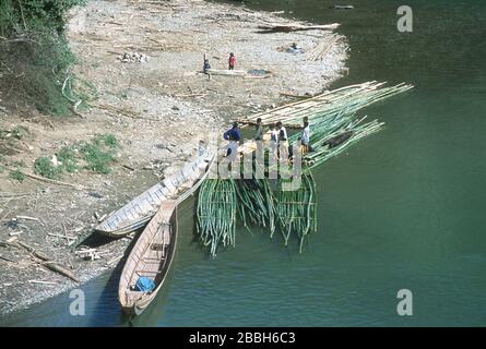 Eine Gruppe von Lao-Männern und -Kindern steht auf grünen Bambusflößen neben traditionellen Holzbooten auf einem Fluss in Laos. Stockfoto