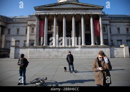 Trafalgar Square und die National Gallery leer und fast verlassen außer einem Hundegänger aufgrund des Covid-19-Ausbruchs soziale Distanzierung auf das, was normalerweise ein geschäftiger, geschäftiger Tag mit Horden von Menschen wäre, die am 22. März 2020 in London, England, Großbritannien einkaufen und sich unterhalten würden. Coronavirus oder Covid-19 ist eine neue Atemwegserkrankung, die beim Menschen bisher nicht beobachtet wurde. Während ein Großteil oder Europa in die Blockierung versetzt wurde, hat die britische Regierung strengere Regeln als Teil ihrer langfristigen Strategie und insbesondere ihrer sozialen Distanzierung angekündigt. Stockfoto