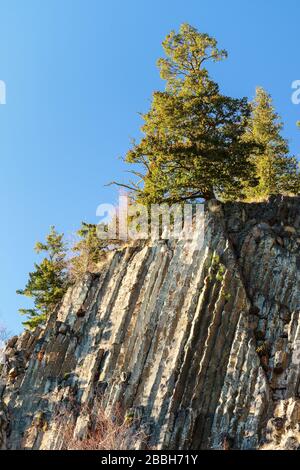 Basaltsäulen im Keremeos Columns Provinzpark in Keremeos, British Columbia, Kanada Stockfoto