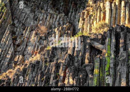 Basaltsäulen im Keremeos Columns Provinzpark in Keremeos, British Columbia, Kanada Stockfoto