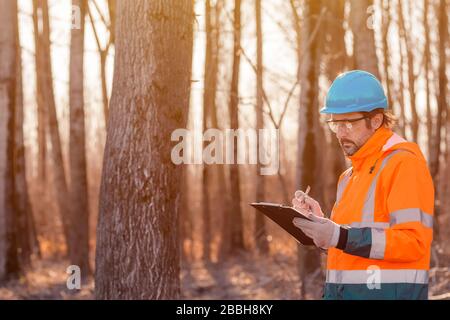 Forsttechniker, der während des Entwaldungsvorgangs Notizen auf Notizblock in der Zwischenablage in Wald schreibt Stockfoto