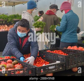 Die Marktkäufer der Farmer können keine soziale Distanzierung von 6' beibehalten, die auf den Schildern auf dem Larchmont Village Market in Los Angeles am Sonntag, 29. März 2020 empfohlen wird. Bürgermeister Eric Garcetti sagte in seinen fortgesetzten Bemühungen, die Menschenmassen inmitten des städtischen und landesweiten Aufenthalts zu Hause zu kontrollieren, dass die Bauernmärkte vorübergehend geschlossen werden und nur dann wieder geöffnet werden dürfen, wenn sie einen Plan vorlegen, der zeigt, wie Menschenmassen kontrolliert werden können. Garcetti sagte, dass dies unter anderem bedeuten könnte, dass man einen einzigen Eintrag und einen einzigen Ausstieg verlangen muss. Dateifoto von Jim Ruymen/UPI Stockfoto