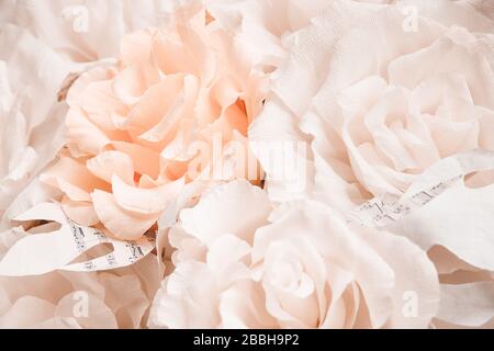 Nahaufnahme der weißen Blumen. Hintergrund im Hochzeitsdekor. Stockfoto