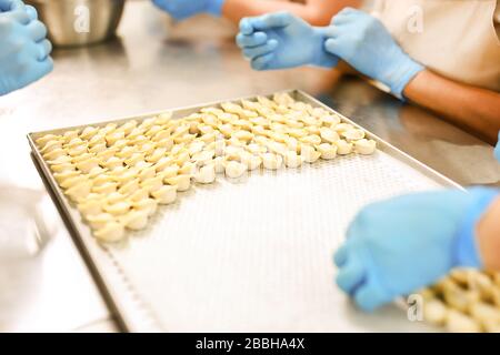 Herstellung von Knödel. Hände von Arbeitgebern in blauen Gummihandschuhen und Dämpfungen auf mit Wachspapier beschichttem Tablett. Stockfoto