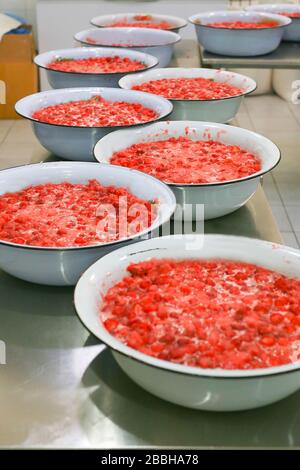 Erdbeer-Marmelade-Kochvorgang. Herkömmliche Herstellung von organischen Staus. Stockfoto