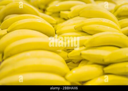 Viele gelbe Bananen im Supermarkt. Frisch und gesund. Geringe Schärfentiefe, konzentrieren Sie sich auf die vordere Banane. Stockfoto