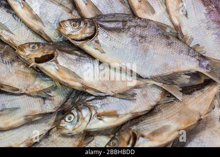 Getrockneter Fischgrund. Salzig trockener Flussfisch, Draufsicht mit Kopierbereich Stockfoto