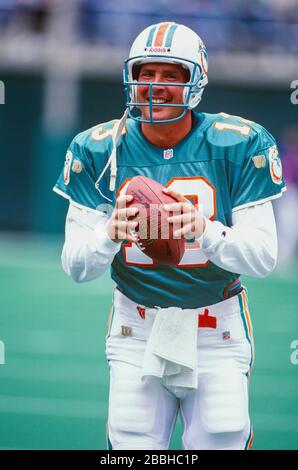 Dan Marino 0f die Miami Dolphins Stockfoto