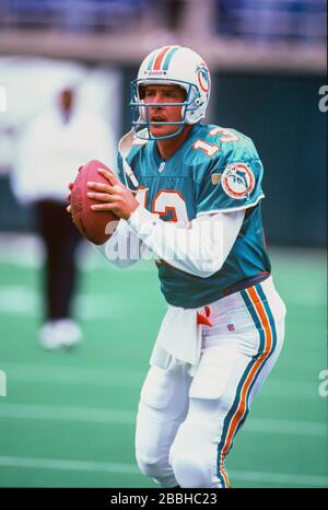 Dan Marino 0f die Miami Dolphins Stockfoto