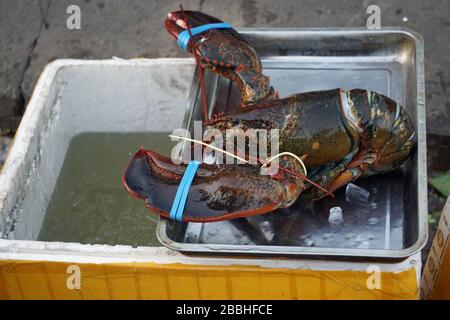 Frische Meeresfrüchte in einem Restaurant in danang in vietnam Stockfoto