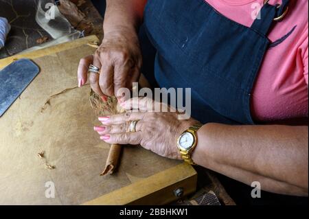 Zigarrenrollen, Zigarrenladen Partagas, Havanna, Kuba Stockfoto