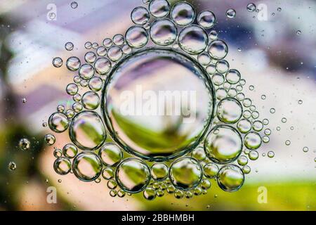 Abstrakter Hintergrund von Ölblasen auf der Wasseroberfläche violett weiß olivgrün Palette. Nahaufnahme des Makros. Stockfoto